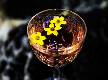 WALA Summer Networking Event at Karma Modern Indian